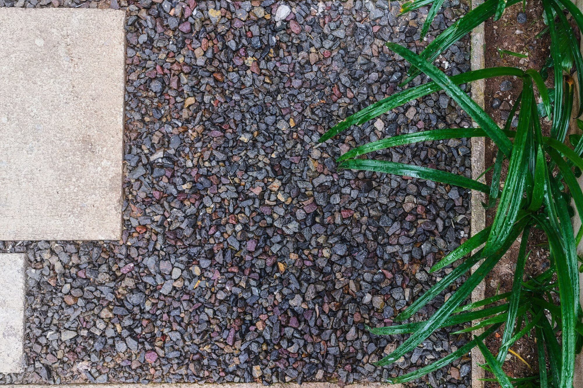 485 — 15