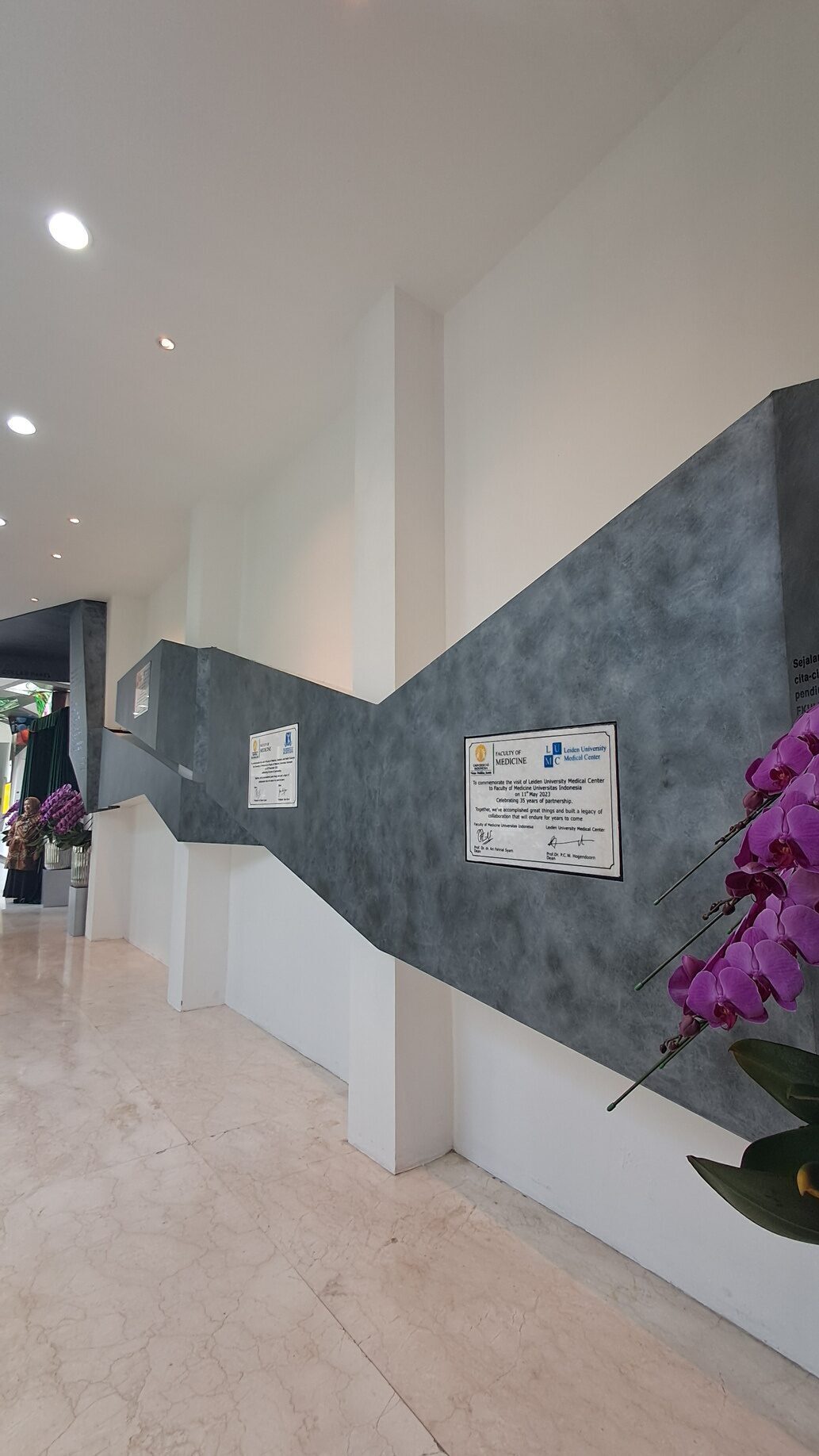 X-Hall Imeri — 3